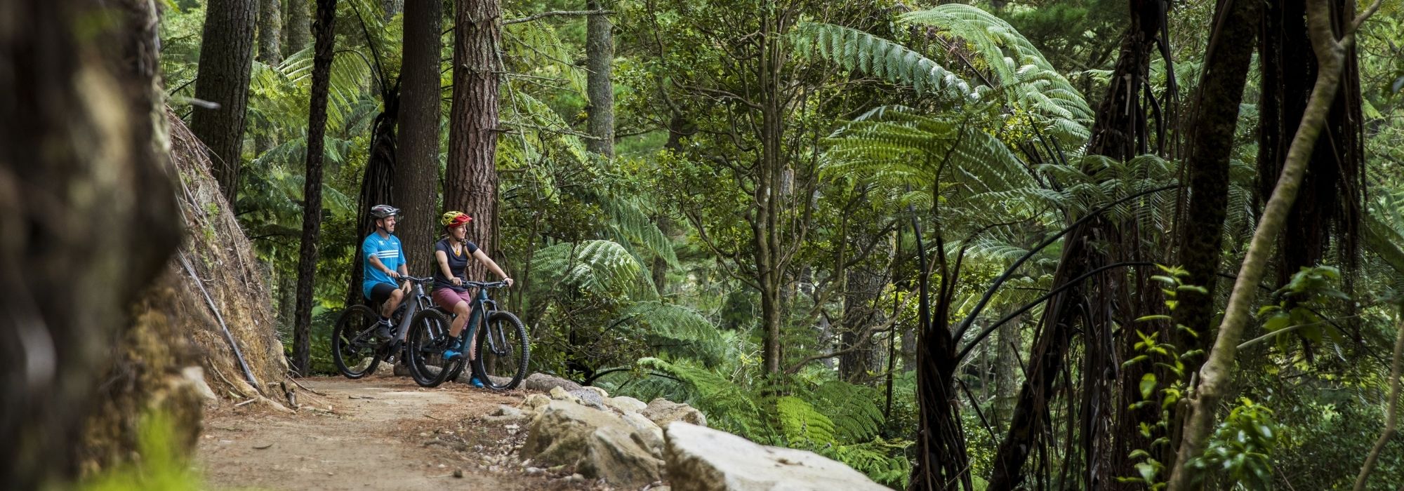 Plan your trip to Rotorua Rotorua NZ